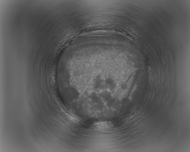 X0000060220499200511241243