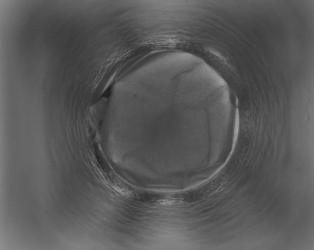 X0000060220504200511241243
