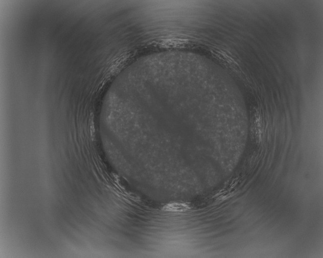 X0000060220508200511241243