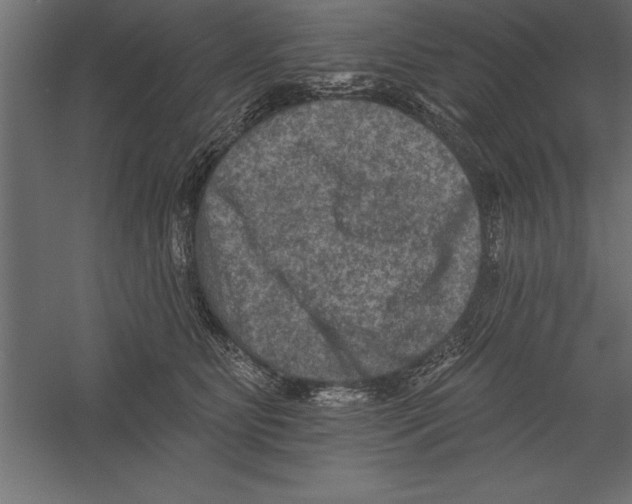X0000060220515200511241243