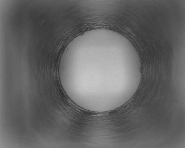 X0000060220516200511241243