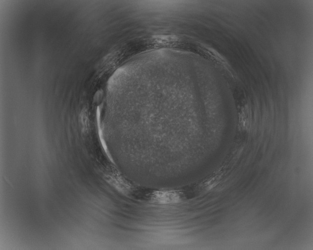X0000060220520200511241243