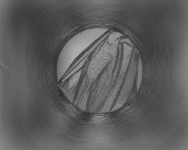 X0000060220521200511241243
