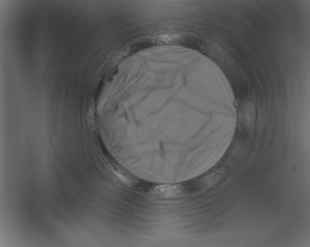 X0000060220526200511241243