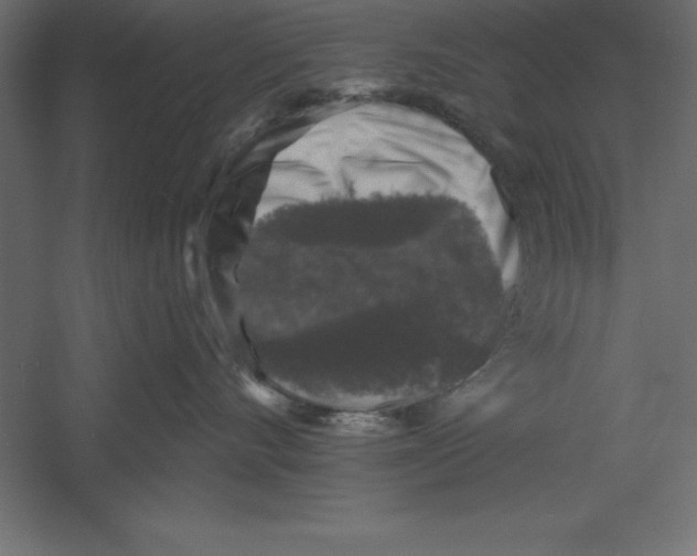 X0000060220528200511241243