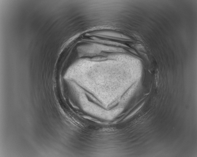 X0000060220536200511241242