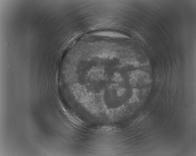 X0000060220542200511241242