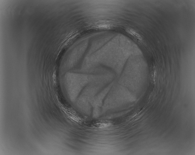 X0000060220552200511241242