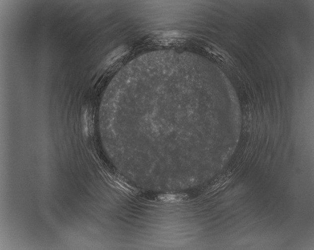 X0000060220558200511241242