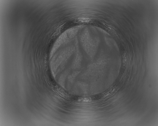 X0000060220559200511241242