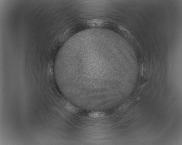 X0000060220561200511241242