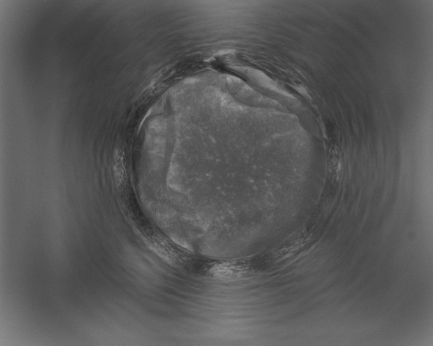 X0000060220568200511241242