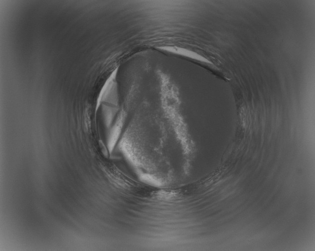 X0000060220570200511241242