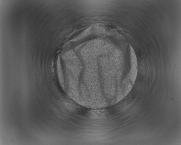 X0000060220571200511241242