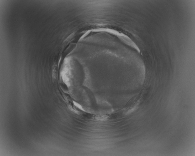 X0000060220576200511241243
