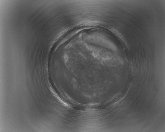 X0000060220581200511241242