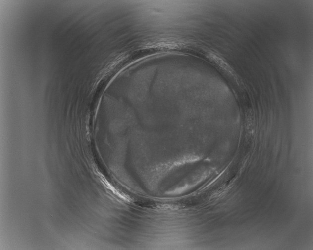 X0000060220585200511241242