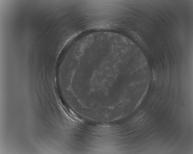 X0000060220588200511241242