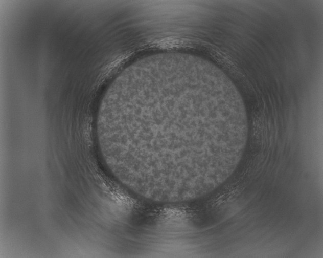 X0000060220592200511241241