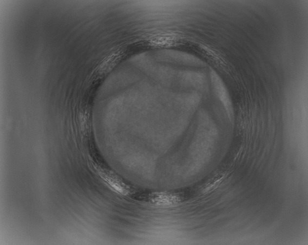 X0000060220601200511241241