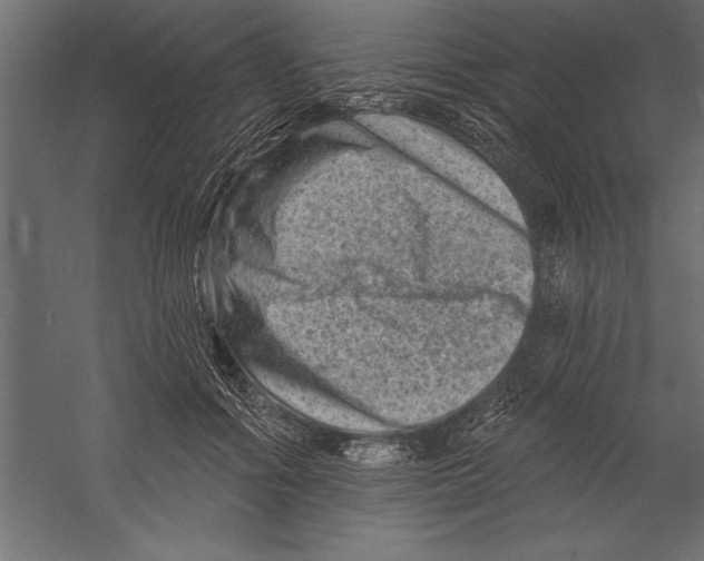 X0000060220602200511241241