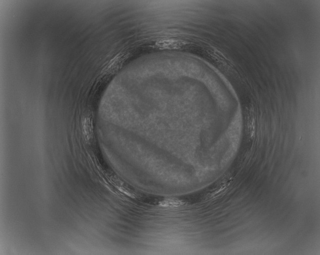 X0000060220603200511241241