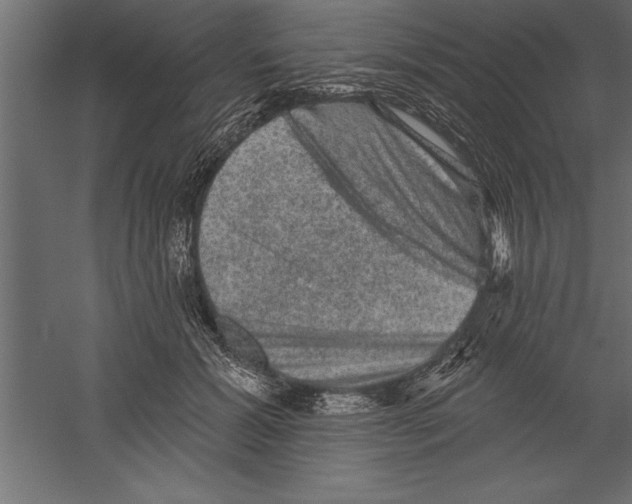 X0000060220605200511241241