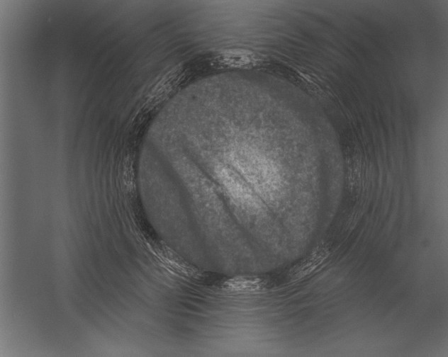 X0000060220606200511241241