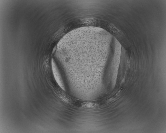X0000060220611200511241241