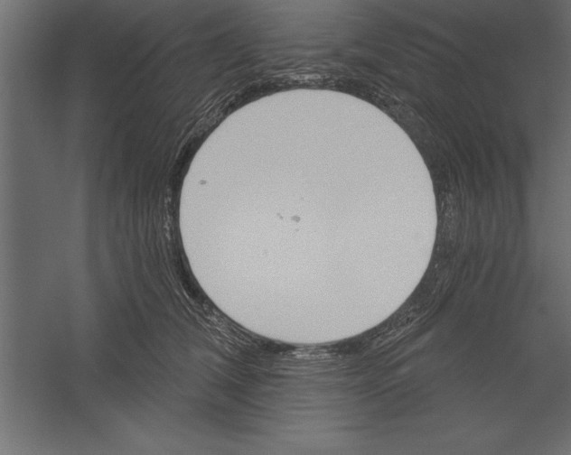 X0000060220612200511241241