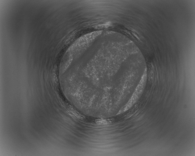 X0000060220616200511241241