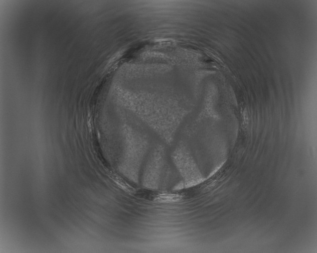 X0000060220617200511241241