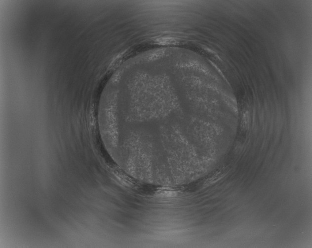 X0000060220620200511241241