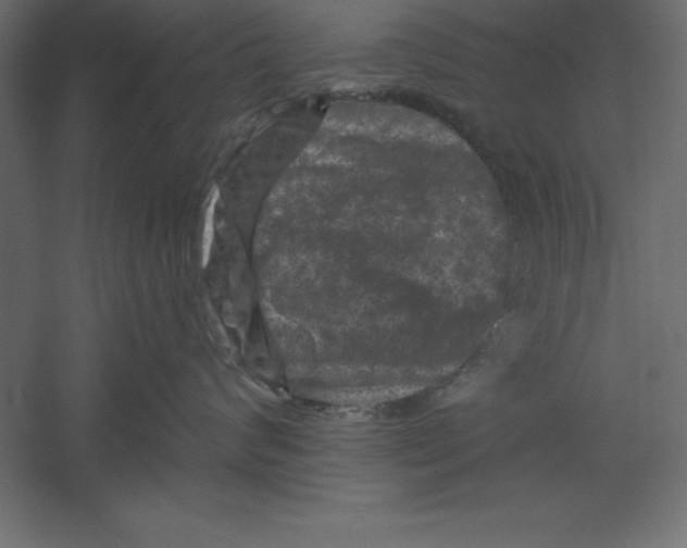 X0000060220624200511241241