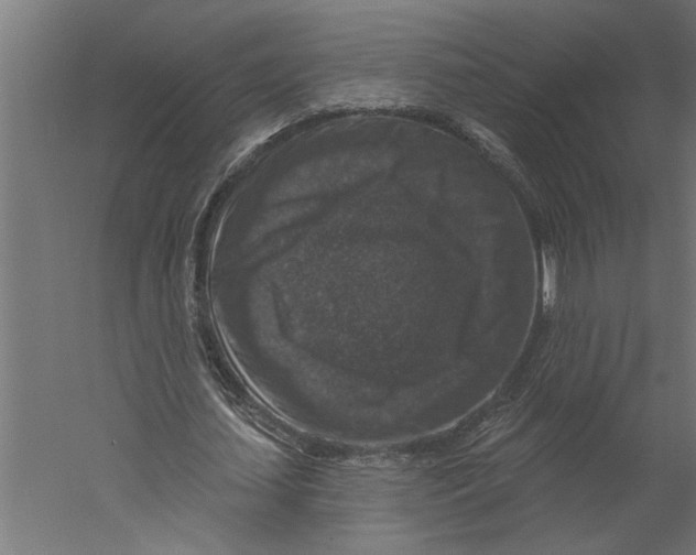 X0000060220627200511241240