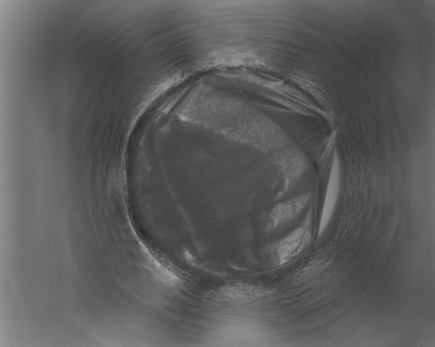X0000060220630200511241240