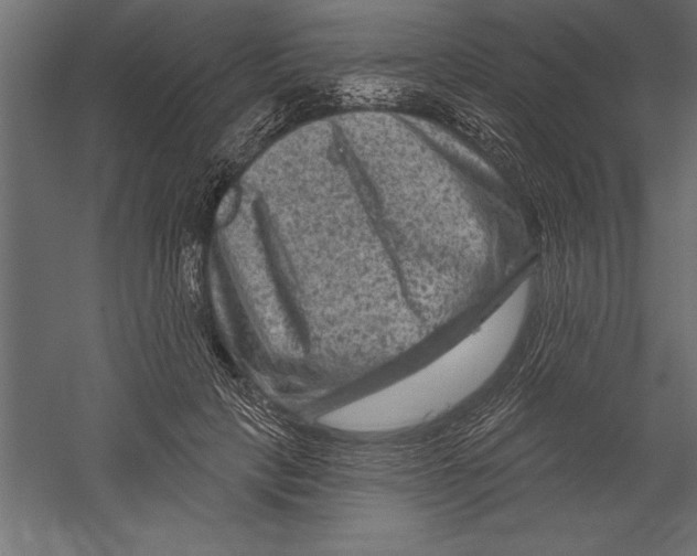 X0000060220649200511241241