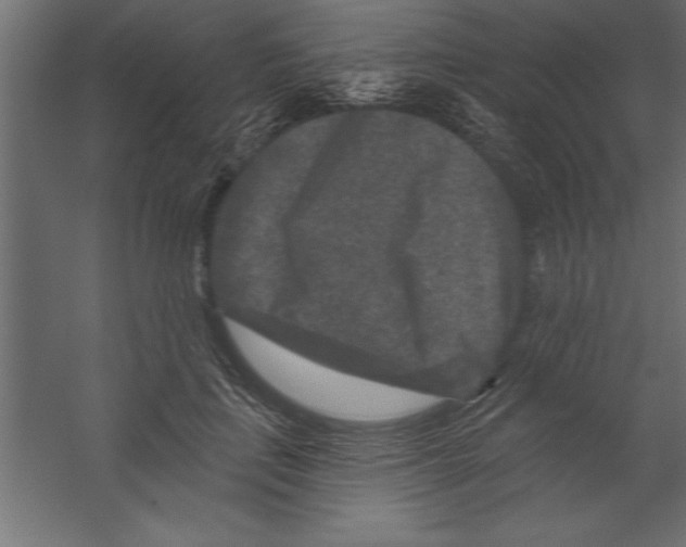 X0000060220651200511241241