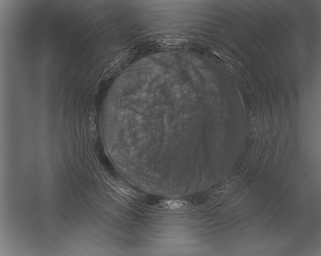X0000060220654200511241241
