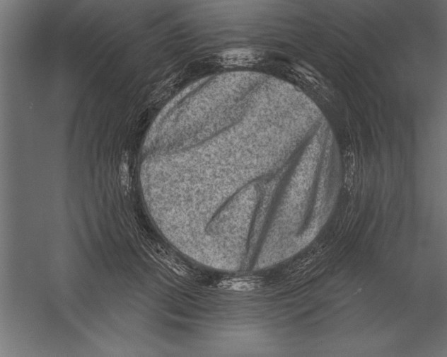 X0000060220655200511241241