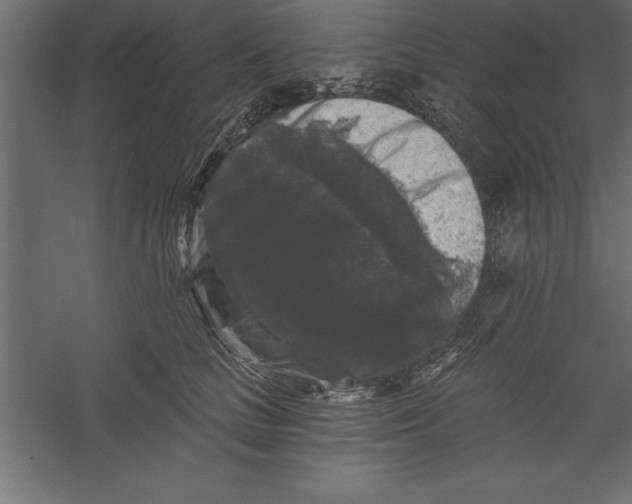 X0000060220661200511241241