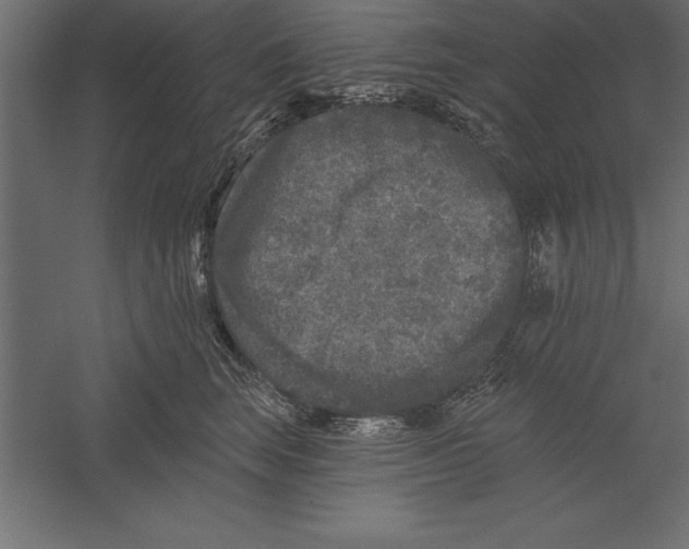 X0000060220663200511241241
