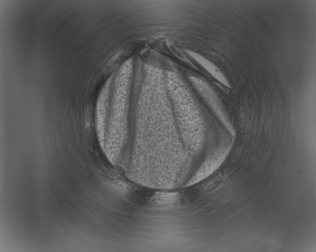 X0000060220665200511241241