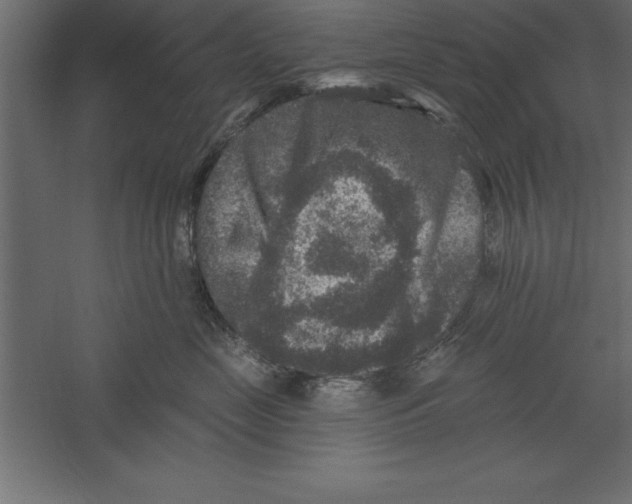 X0000060220669200511241241