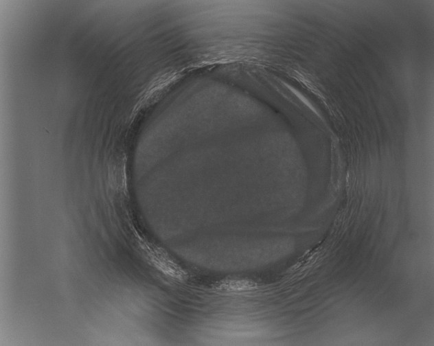 X0000060220685200511241240