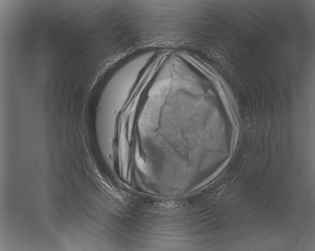 X0000060220688200511241240