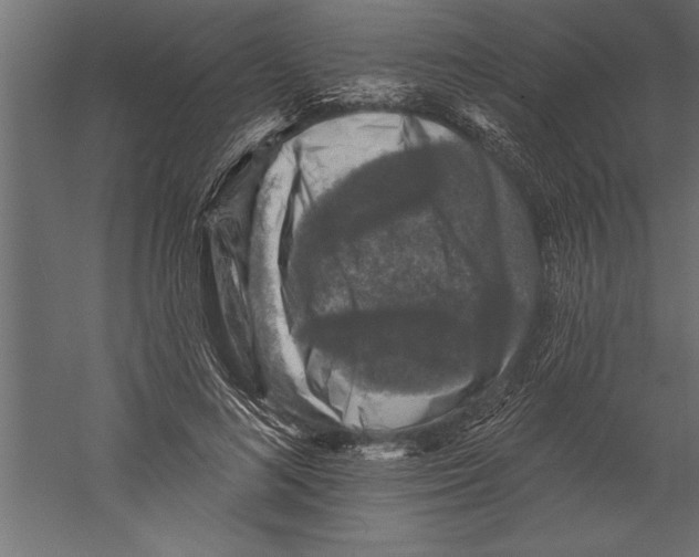 X0000060220692200511241240