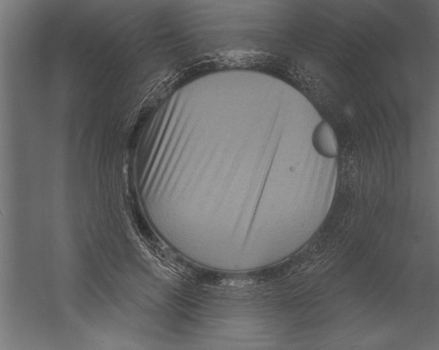 X0000060220694200511241240