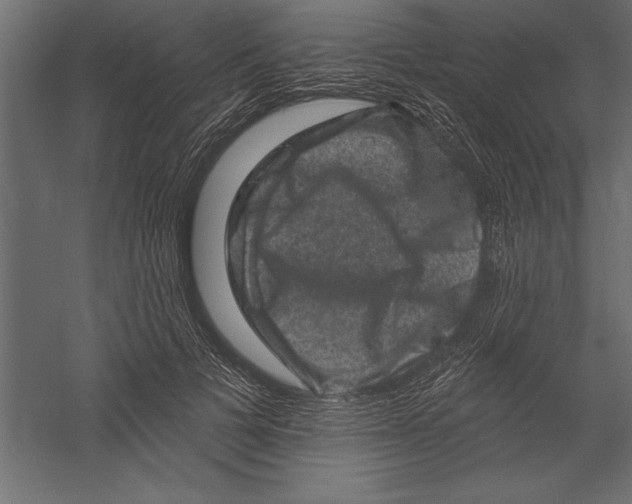 X0000060220697200511241240