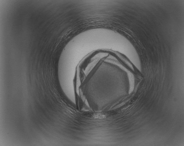 X0000060220701200511241240
